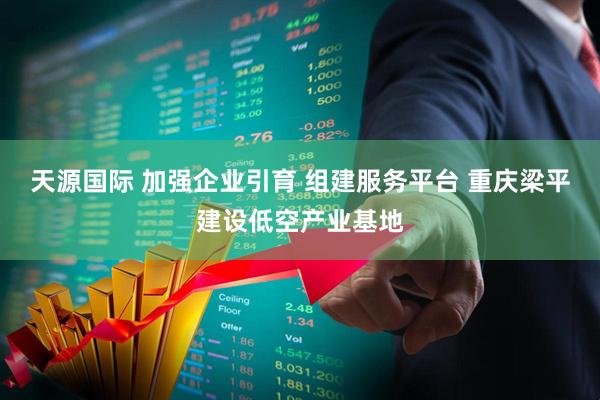 天源国际 加强企业引育 组建服务平台 重庆梁平建设低空产业基地