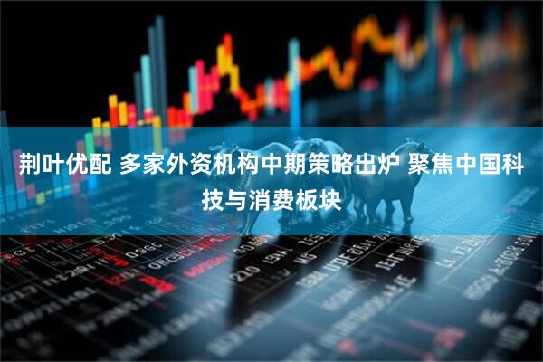 荆叶优配 多家外资机构中期策略出炉 聚焦中国科技与消费板块