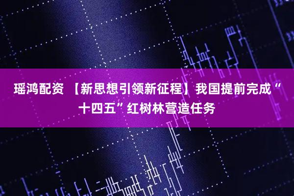 瑶鸿配资 【新思想引领新征程】我国提前完成“十四五”红树林营造任务