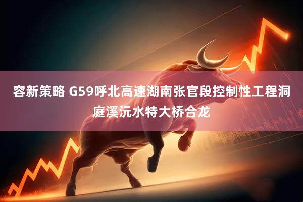 容新策略 G59呼北高速湖南张官段控制性工程洞庭溪沅水特大桥合龙