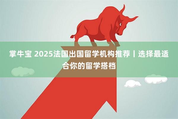 掌牛宝 2025法国出国留学机构推荐丨选择最适合你的留学搭档
