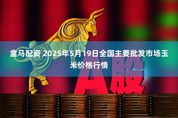 盒马配资 2025年5月19日全国主要批发市场玉米价格行情
