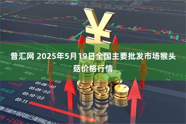 普汇网 2025年5月19日全国主要批发市场猴头菇价格行情
