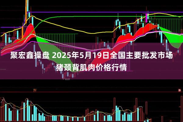 聚宏鑫操盘 2025年5月19日全国主要批发市场猪颈背肌肉价格行情