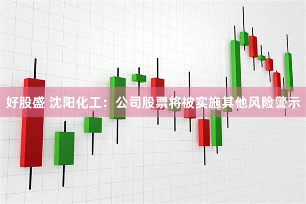 好股盛 沈阳化工：公司股票将被实施其他风险警示
