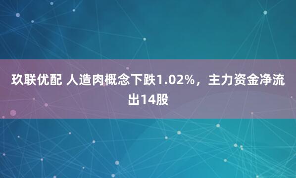 玖联优配 人造肉概念下跌1.02%，主力资金净流出14股