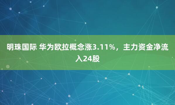 明珠国际 华为欧拉概念涨3.11%，主力资金净流入24股